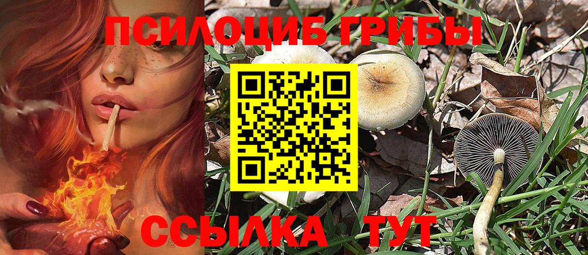 Галлюциногенные грибы Magic Shrooms  Вход с VPN  Киселёвск 