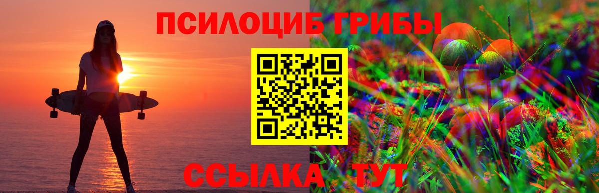 Псилоцибиновые грибы ЛСД Киселёвск
